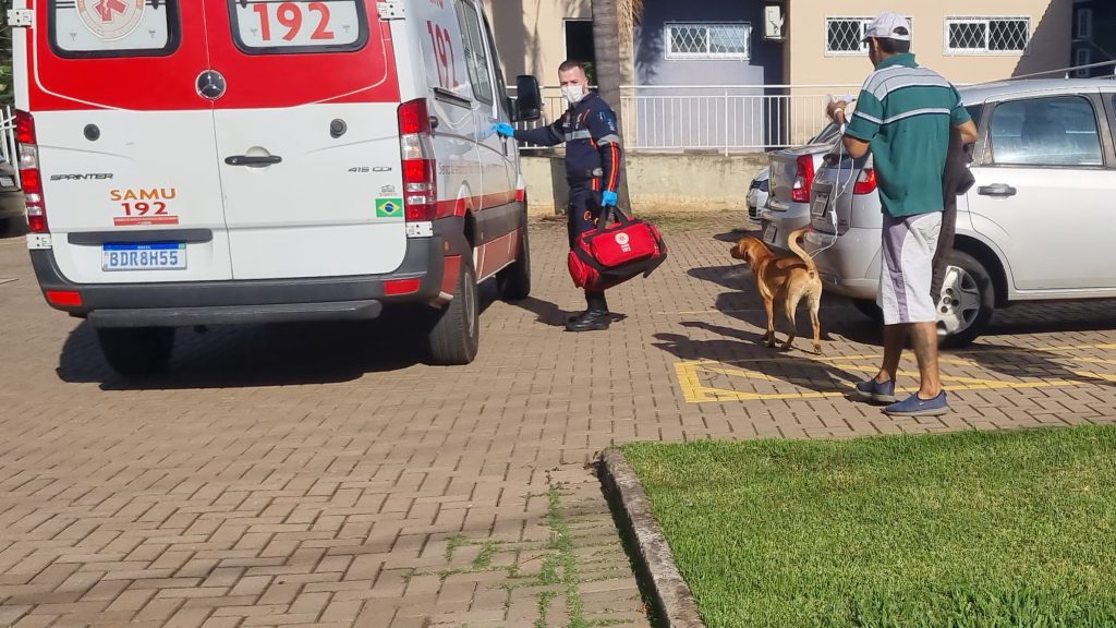 Homem leva picada e é socorrido com necrose no dedo em Cascavel Homem leva picada e é socorrido com necrose no dedo em Cascavel