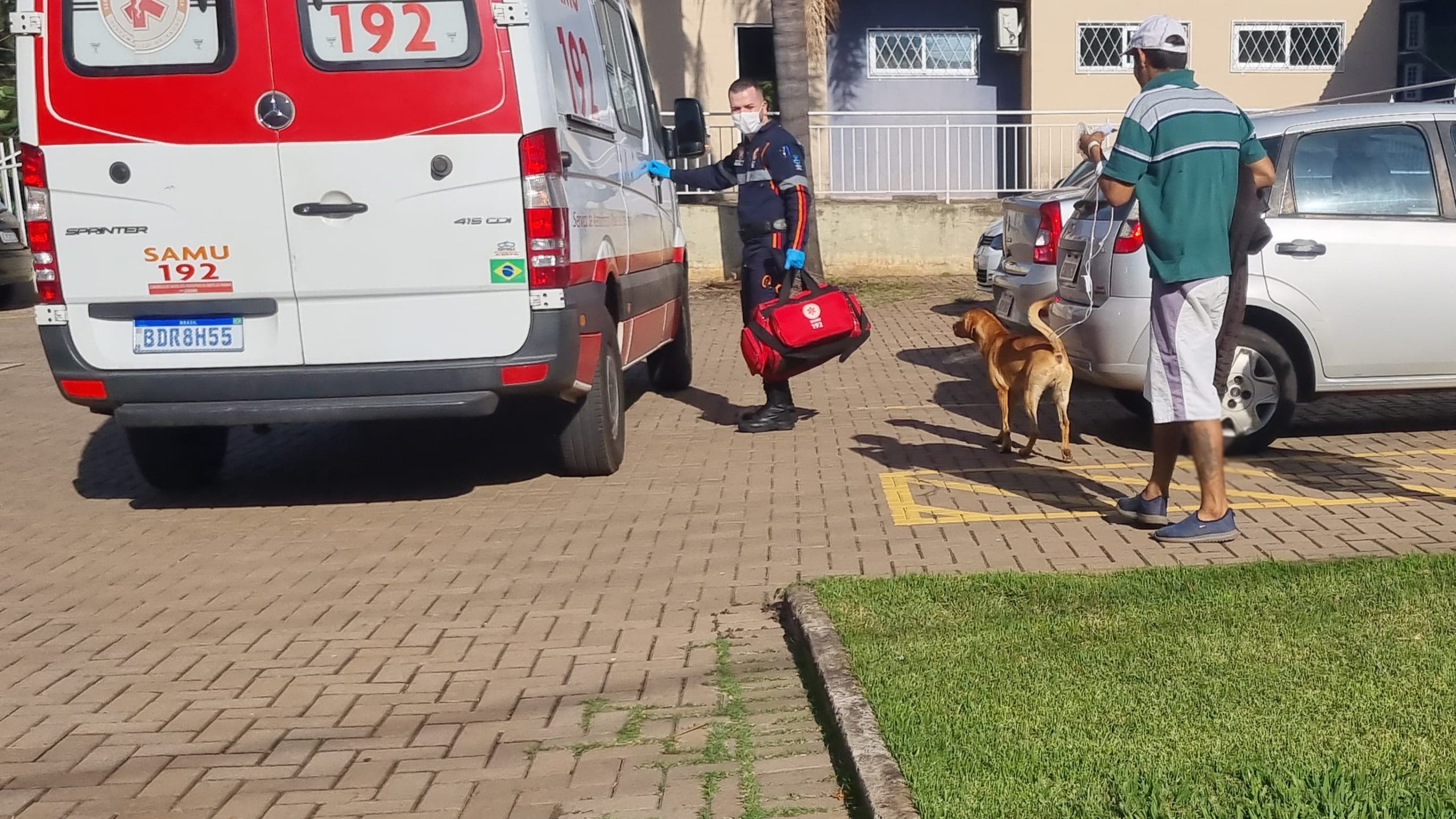 Homem leva picada e é socorrido com necrose no dedo em Cascavel