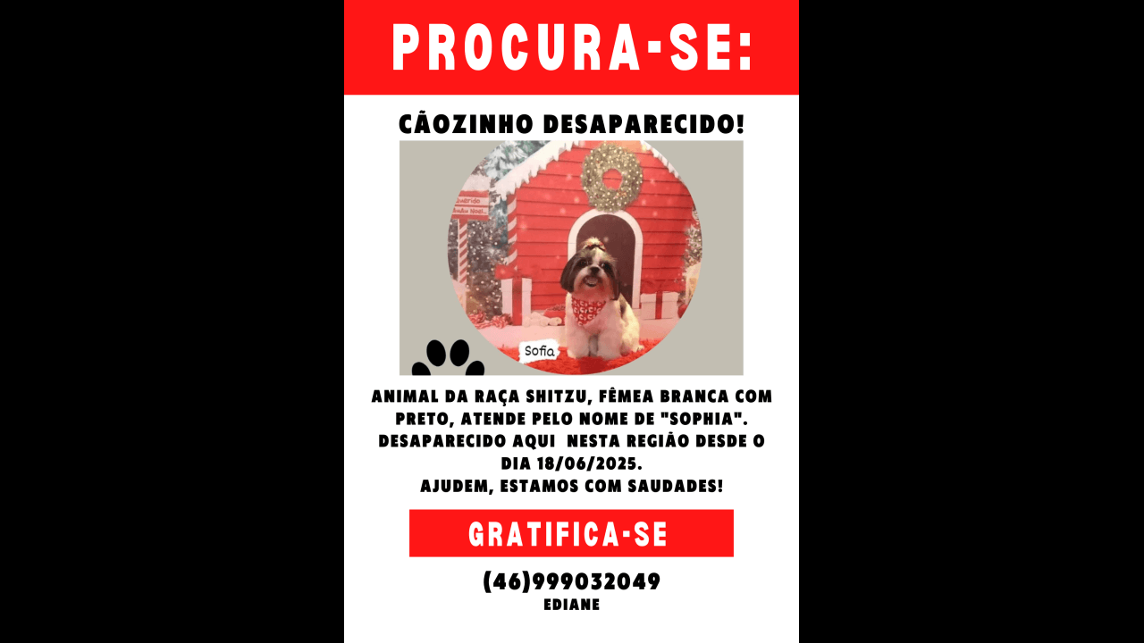 Cachorra Sophia desapareceu no bairro São Cristóvão
