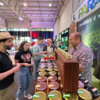 Estado apresenta atrativos turísticos de todo o Paraná no São João de Curitiba Imagem referente a Estado apresenta atrativos turísticos de todo o Paraná no São João de Curitiba