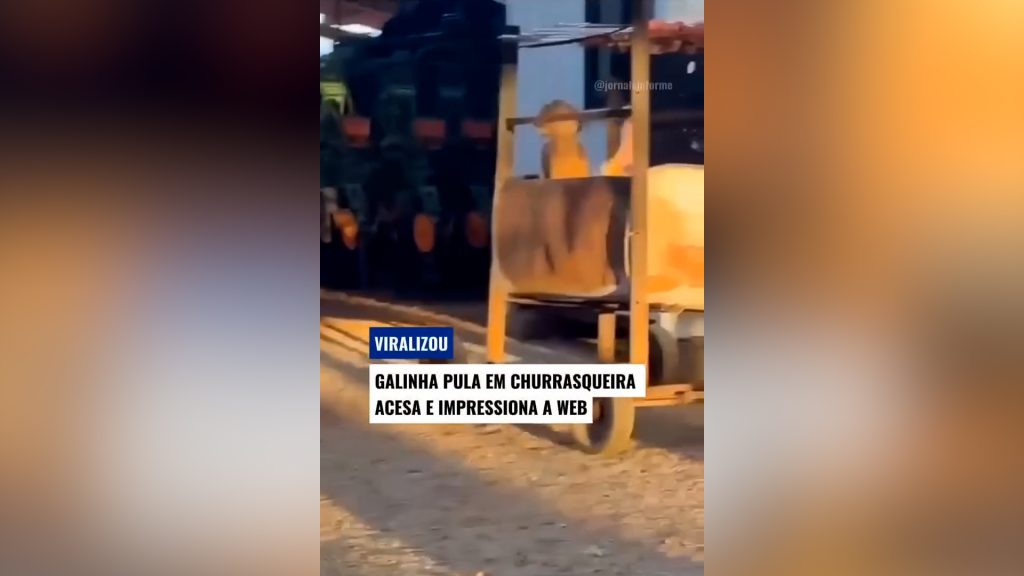 Galinha se joga em churrasqueira durante churrasco e vídeo viraliza