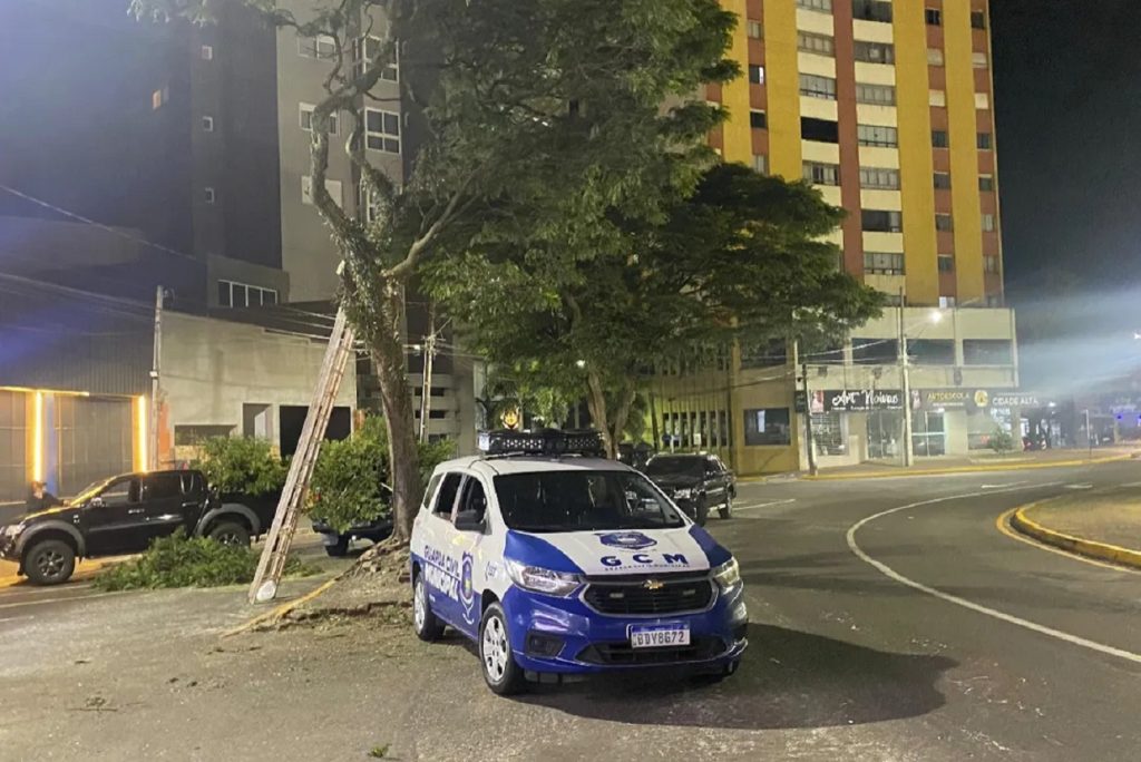 Empresário poda árvore no centro e vai parar na delegacia em Apucarana