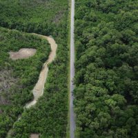 Imagem referente a Construção de estradas impacta mangue amazônico