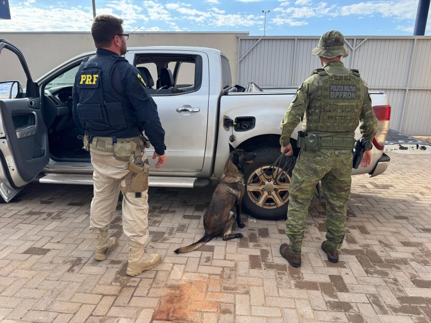 Cão fareja e polícia acha 47 kg de cocaína em tanque de caminhonete na BR-487