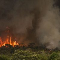 Imagem referente a Queimadas atingiram 30 milhões de hectares no país em 2024
