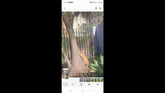 Imagem referente a Gato Caio desapareceu no bairro Neva