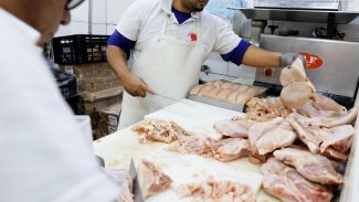Gripe aviária: 17 países suspendem restrição à carne brasileira 