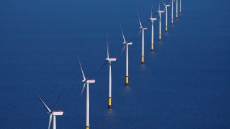 Ibama concede 1ª licença prévia a projeto eólico offshore no país