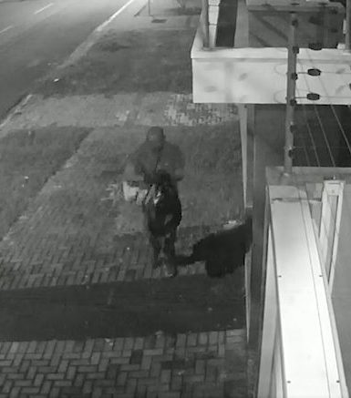 Nem o frio espantou! Câmeras flagram furto de cabos no Bairro Coqueiral Imagem referente a Nem o frio espantou! Câmeras flagram furto de cabos no Bairro Coqueiral