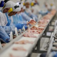 Imagem referente a Indústria criou mais de 910 mil empregos em quatro anos, aponta IBGE
