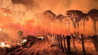 Ações da Operação Incêndios 2025 da PF iniciam pelo Pantanal