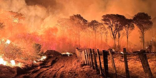 Ações da Operação Incêndios 2025 da PF iniciam pelo Pantanal Imagem referente a Ações da Operação Incêndios 2025 da PF iniciam pelo Pantanal