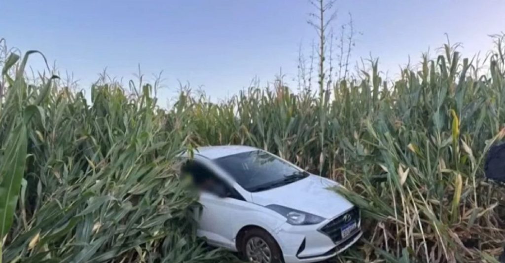 Idosa de 79 anos morre atropelada pelo marido em sítio no Paraná