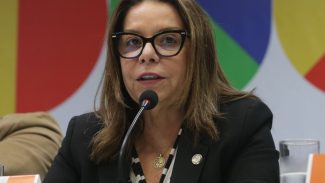 Estudantes devem buscar alternativa aos EUA, diz presidente da Capes