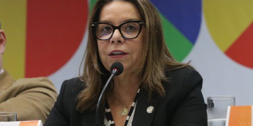 Estudantes devem buscar alternativa aos EUA, diz presidente da Capes Imagem referente a Estudantes devem buscar alternativa aos EUA, diz presidente da Capes