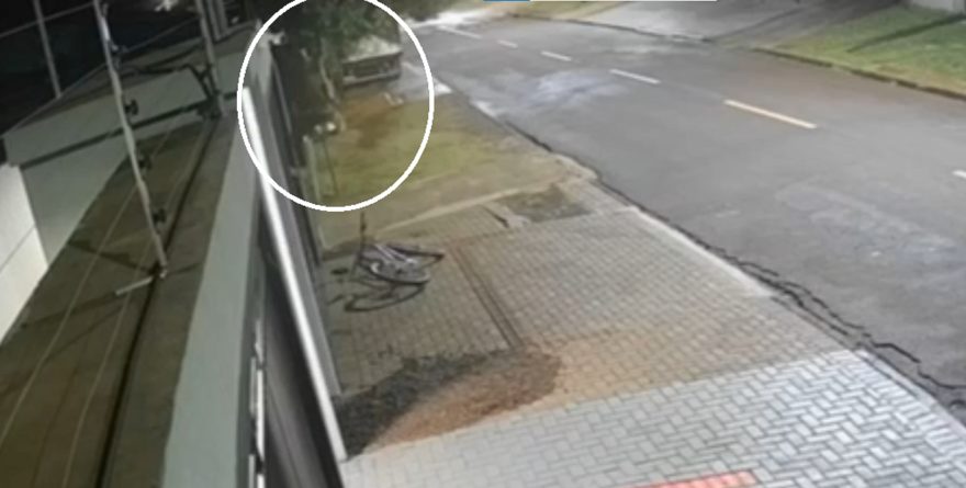 Câmera registra ladrão “aranha” escalando muro de residência no Veneza
