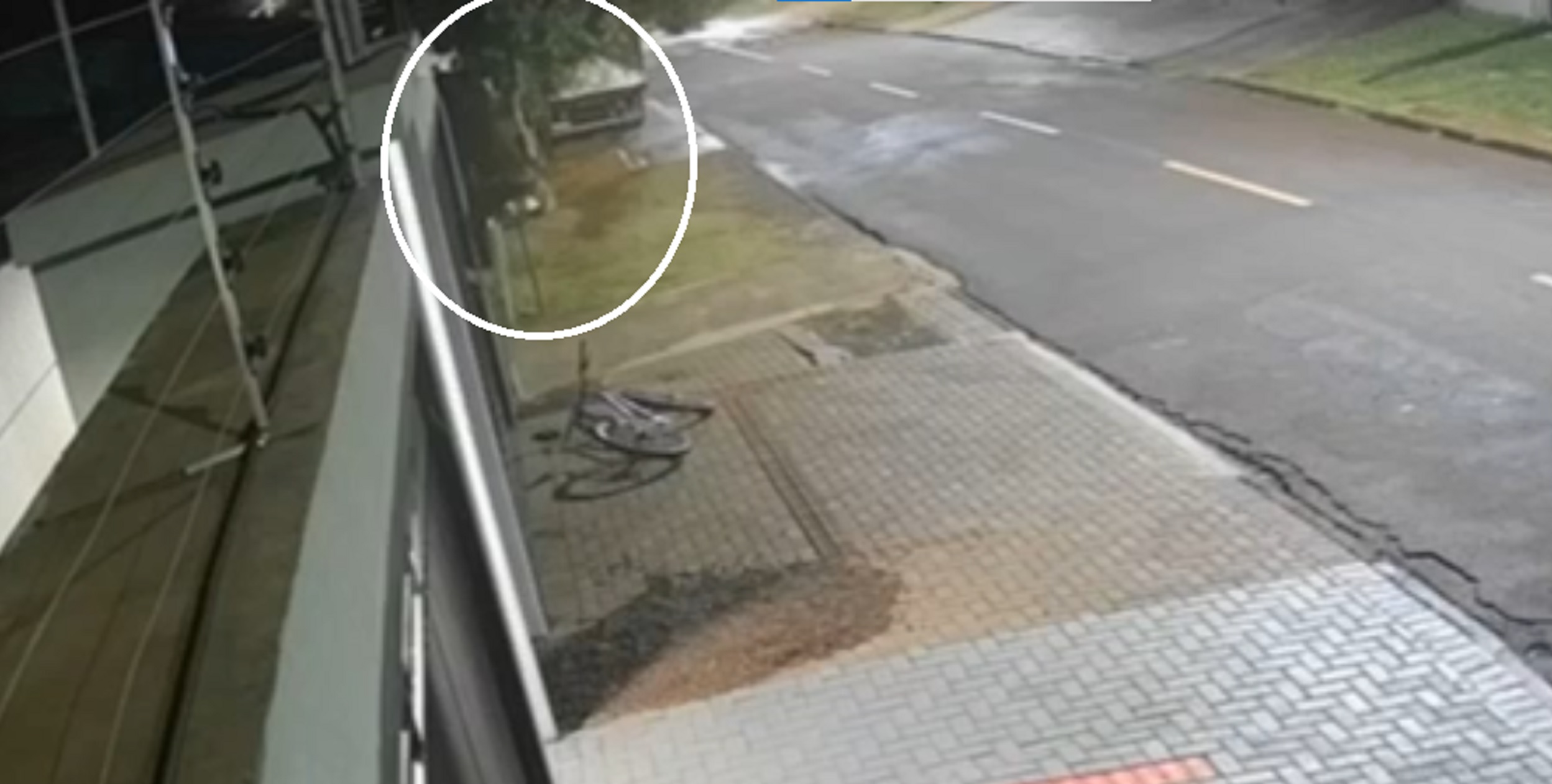 Câmera registra ladrão "aranha" escalando muro de residência no Veneza