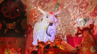 Boi Garantido vence festival de Parintins e garante o 33º título