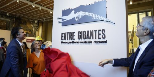 Museu Nacional do Rio reabre para exposição sete anos após incêndio Imagem referente a Museu Nacional do Rio reabre para exposição sete anos após incêndio