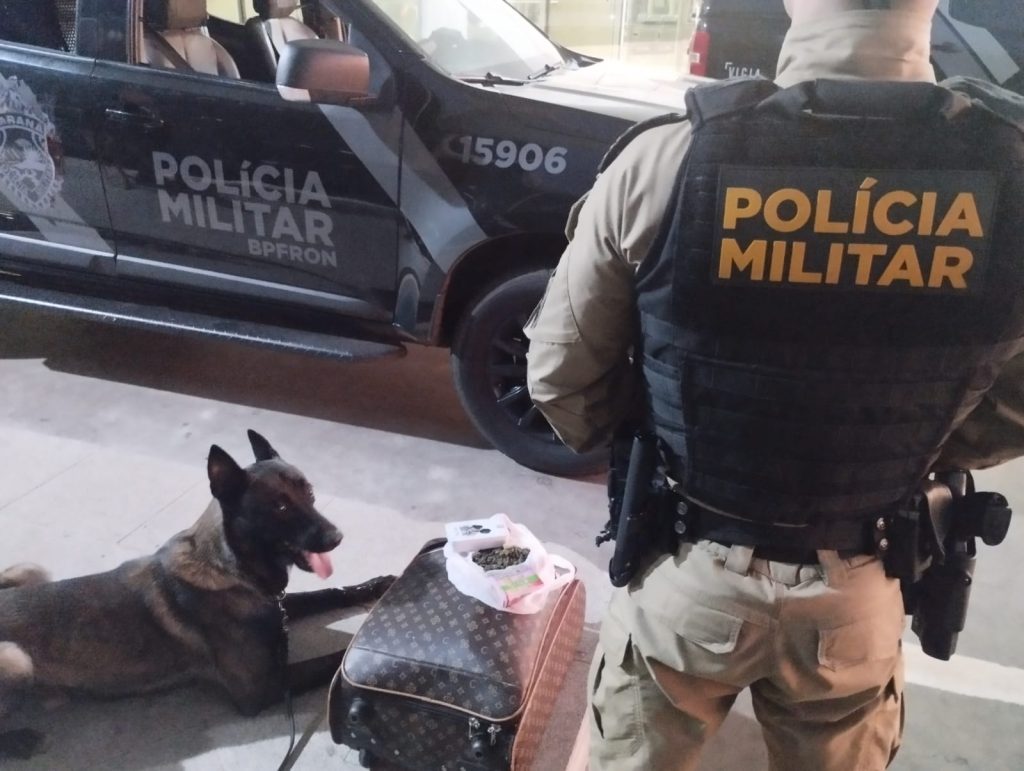Cão farejador acha maconha em mala e jovem é detido na rodoviária de Umuarama