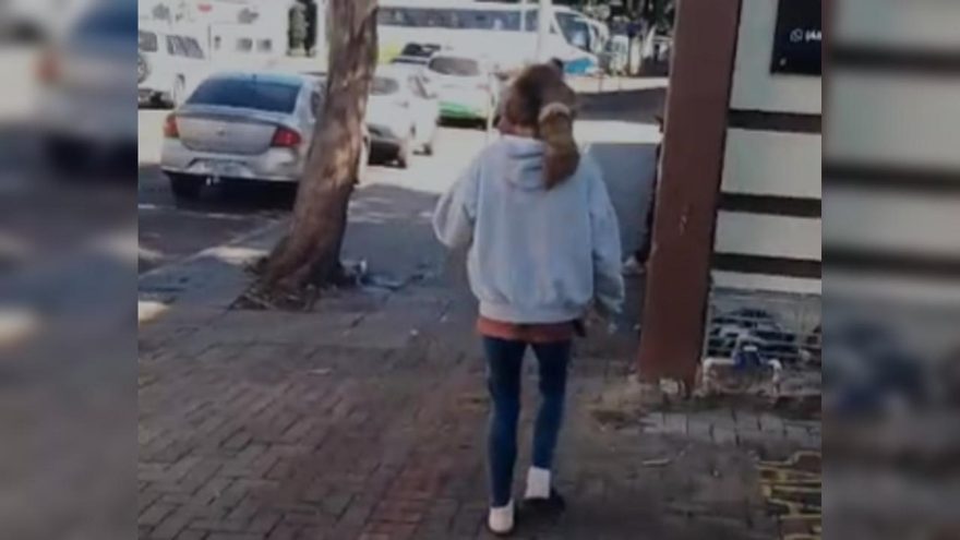 Mulher pede dinheiro perto do Centro Pop e vídeo acende polêmica