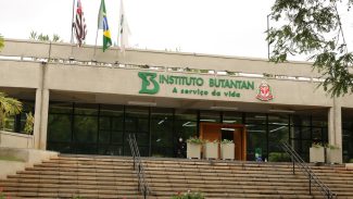 Butantan se prepara para testar vacina contra gripe aviária em humanos