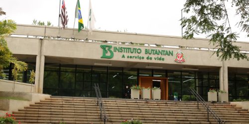Butantan se prepara para testar vacina contra gripe aviária em humanos Imagem referente a Butantan se prepara para testar vacina contra gripe aviária em humanos