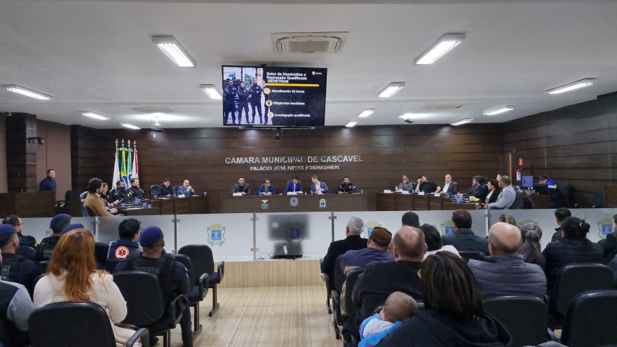 Criação da Delegacia Especializada em Delitos de Trânsito é debatida na Câmara