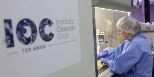 Fiocruz: vírus respiratórios permanecem em alta na maior parte do país Imagem referente a Fiocruz: vírus respiratórios permanecem em alta na maior parte do país