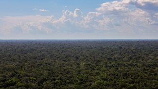 Organizações sociais propõem plano para investimentos na Amazônia