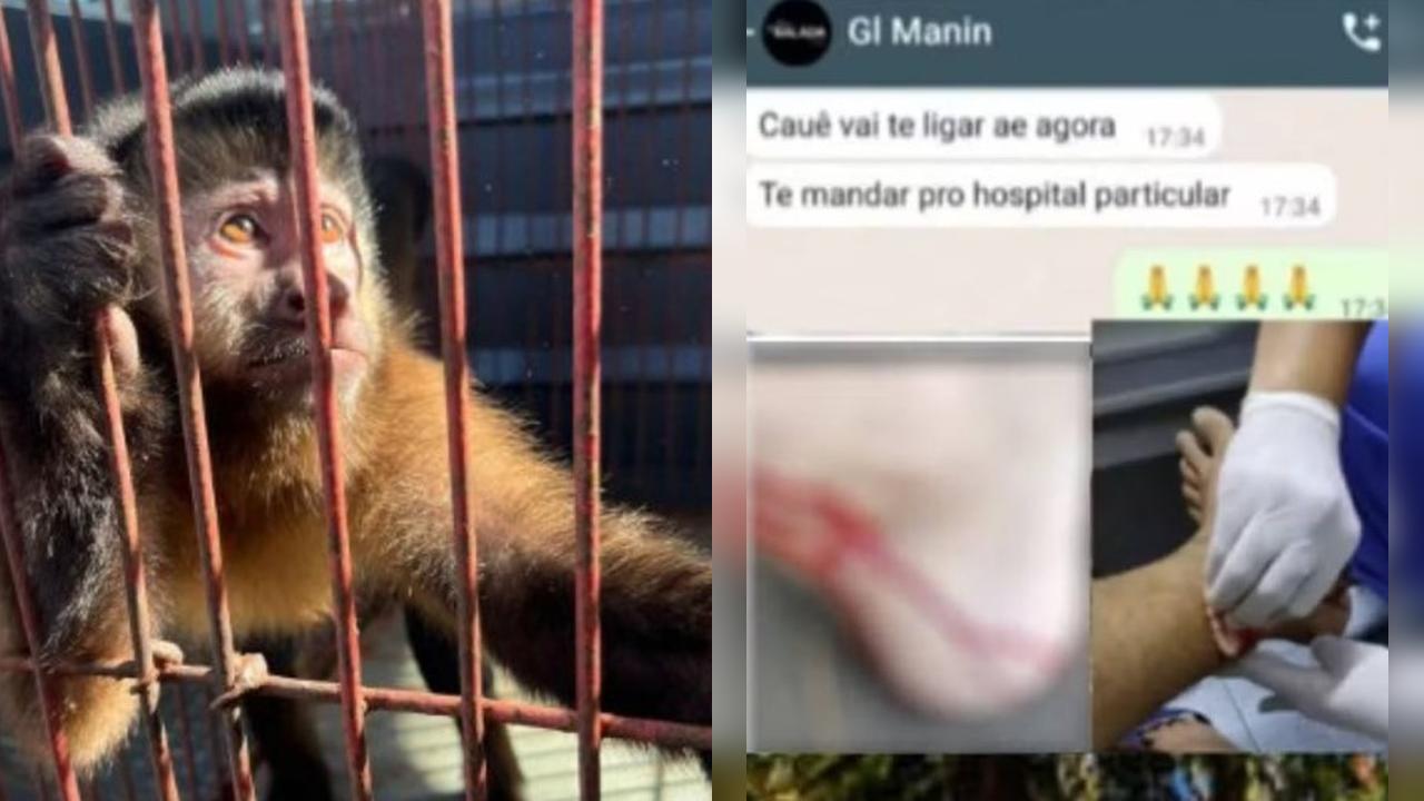 Irmão de Gusttavo Lima é atacado, mordido e derrubado por macaco