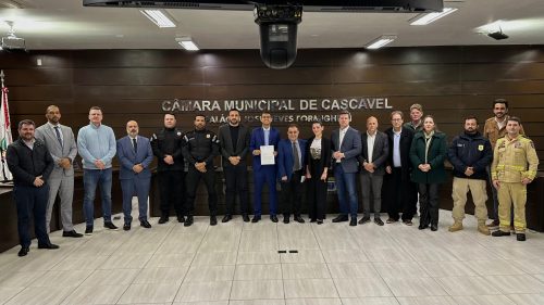 Audiência Pública pressiona por delegacia e mais agentes para o trânsito Imagem referente a Audiência Pública pressiona por delegacia e mais agentes para o trânsito