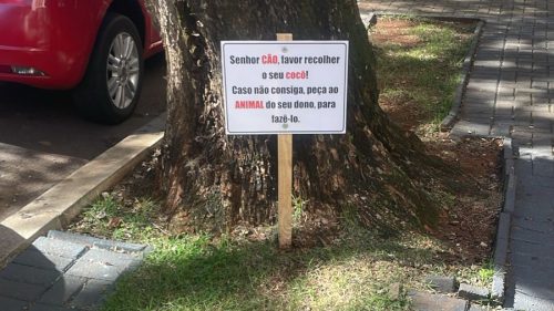 “Senhor cão, favor recolher o seu cocô”; Se tem placa, tem história em Cascavel Imagem referente a “Senhor cão, favor recolher o seu cocô”; Se tem placa, tem história em Cascavel