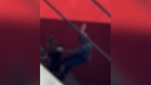 Imagem referente a Revoltante! Vídeo mostra homem agredindo dois cães em Cascavel