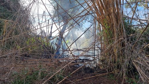 Bombeiros controlam incêndio em vegetação no Santo Onofre Imagem referente a Bombeiros controlam incêndio em vegetação no Santo Onofre