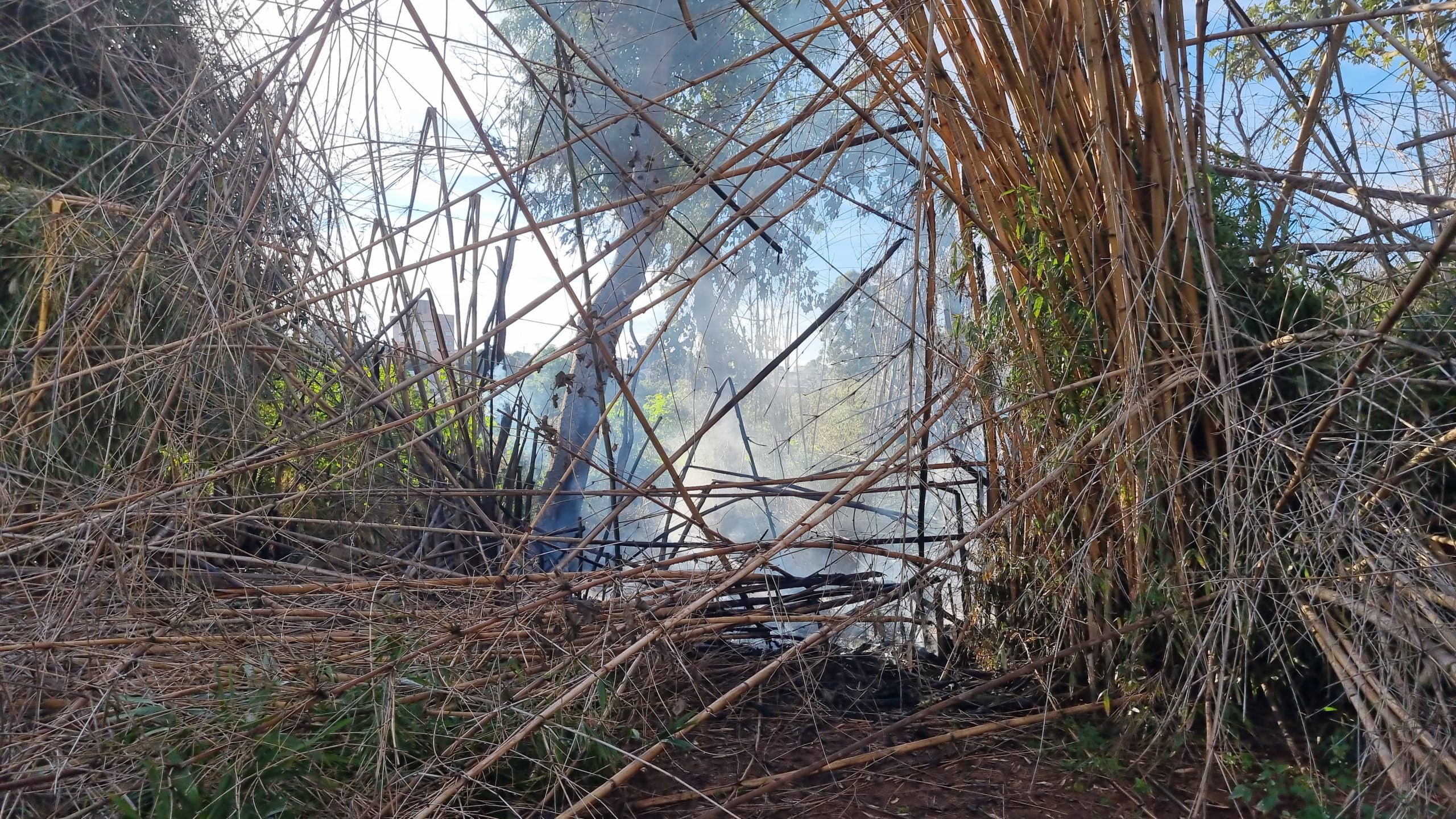 Bombeiros controlam incêndio em vegetação no Santo Onofre