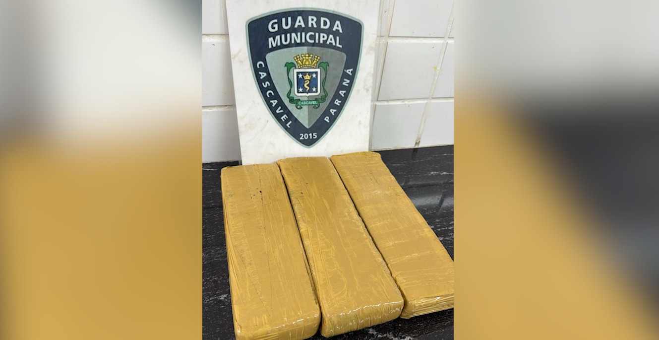 GM encontra mais de 2 kg de maconha perto do Lago de Cascavel GM encontra mais de 2 kg de maconha perto do Lago de Cascavel