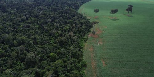 Imagem referente a Brics: financiamento climático é responsabilidade de países ricos