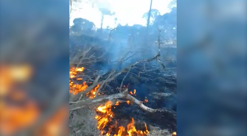 Incêndio consome área de mata perto de escola na Região Norte