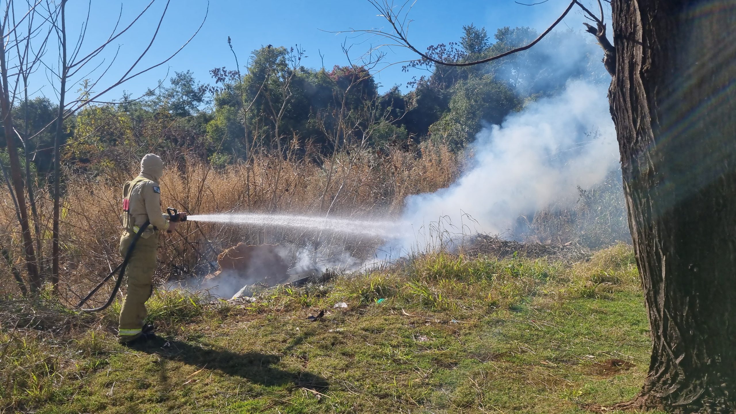 Bombeiros combatem incêndio em vegetação no bairro Santa Cruz