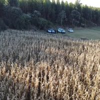 Imagem referente a Imagens aéreas mostram local de buscas por Alison Padilha na Região Norte de Cascavel