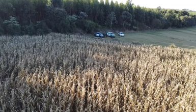 Imagem referente a Imagens aéreas mostram local de buscas por Alison Padilha na Região Norte de Cascavel
