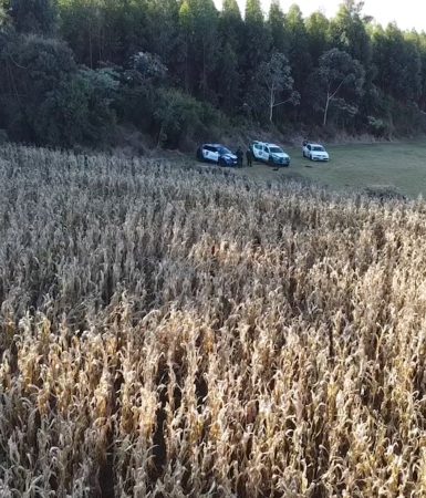 Imagem referente a Imagens aéreas mostram local de buscas por Alison Padilha na Região Norte de Cascavel