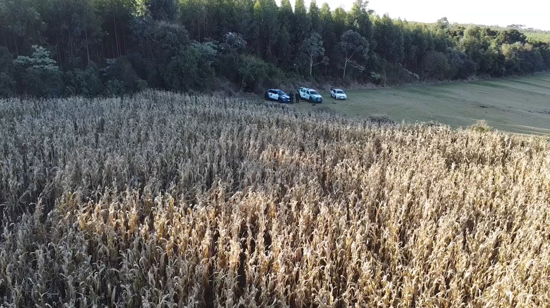 Imagem referente a Imagens aéreas mostram local de buscas por Alison Padilha na Região Norte de Cascavel