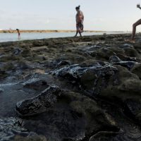 Imagem referente a Estrangeiros atrasam investigação sobre óleo no litoral do Nordeste