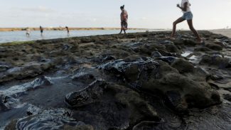 Estrangeiros atrasam investigação sobre óleo no litoral do Nordeste