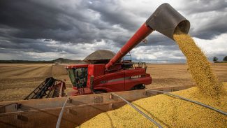 Produção de grãos deve crescer 14% e chegar a 340 milhões de toneladas