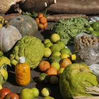 Imagem referente a Empréstimo do BNDES para o Plano Safra será recorde de R$ 70 bilhões