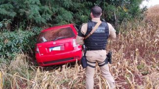 Palio roubado em Cascavel é recuperado em área de mata na zona rural de Cafelândia