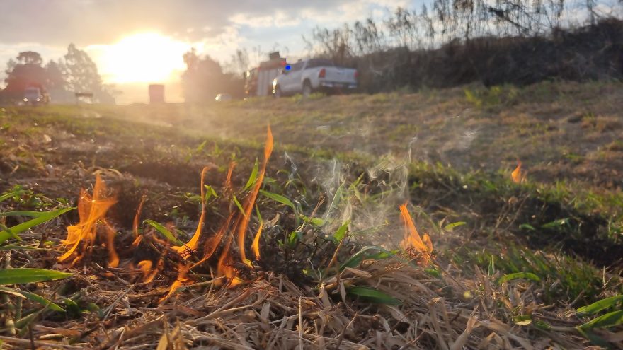 Incêndio em vegetação mobiliza Corpo de Bombeiros na BR-163 entre Cascavel e Sede Alvorada